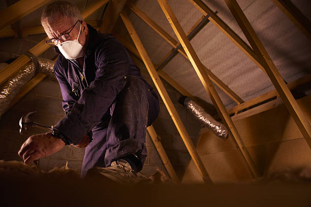 Best Blown-in Insulation  in Russellville, AL